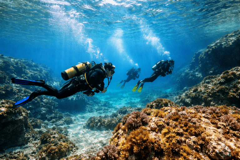 Immersioni Subacquee nel Nord Italia: I Migliori Spot tra Laghi Alpini e Mar Ligure